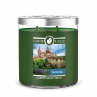 Carpathians Forest World Traveler Roemenie