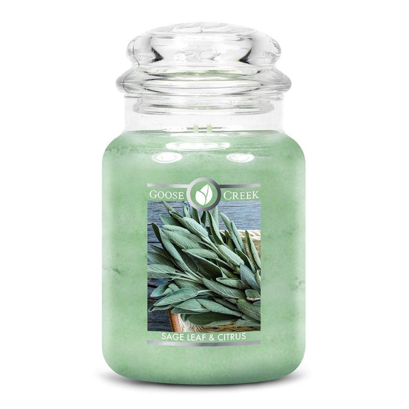 Sage Leaf & Citrus large jar GooseCreekCandles