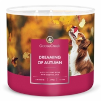 Dreaming of Autumn 3 Wick large