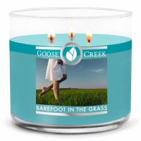 Barefoot in the grass  3 Wick large