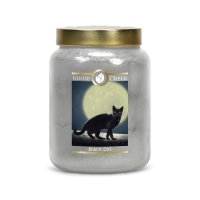 Black Cat Goose Creek Candle 680g Halloween Limited Edition