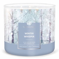 Winter Whisper 3 wick tumbler