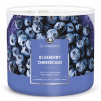 Blueberry Cheesecake 3 wick tumbler